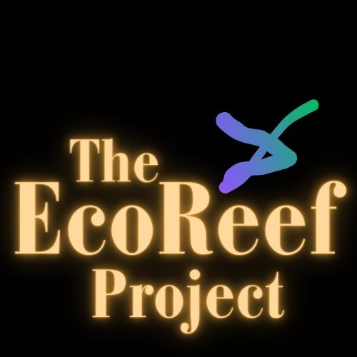 The Significance of EcoReefProject.com and Its Potential for the Future